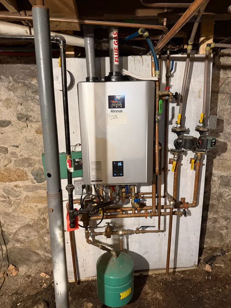 Rinnai wall-hung unit on a board in a fieldstone basement, piped to two zone circulator pumps, a zone control panel and a green expansion tank